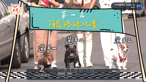 livetv电视直播app下载v6.3.3.93 livetv电视直播app下载v6.3.3.93